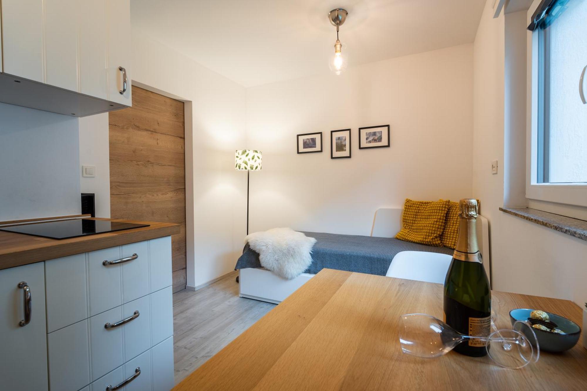 Apartment Loyd, Kranjska Gora - Studio Zewnętrze zdjęcie