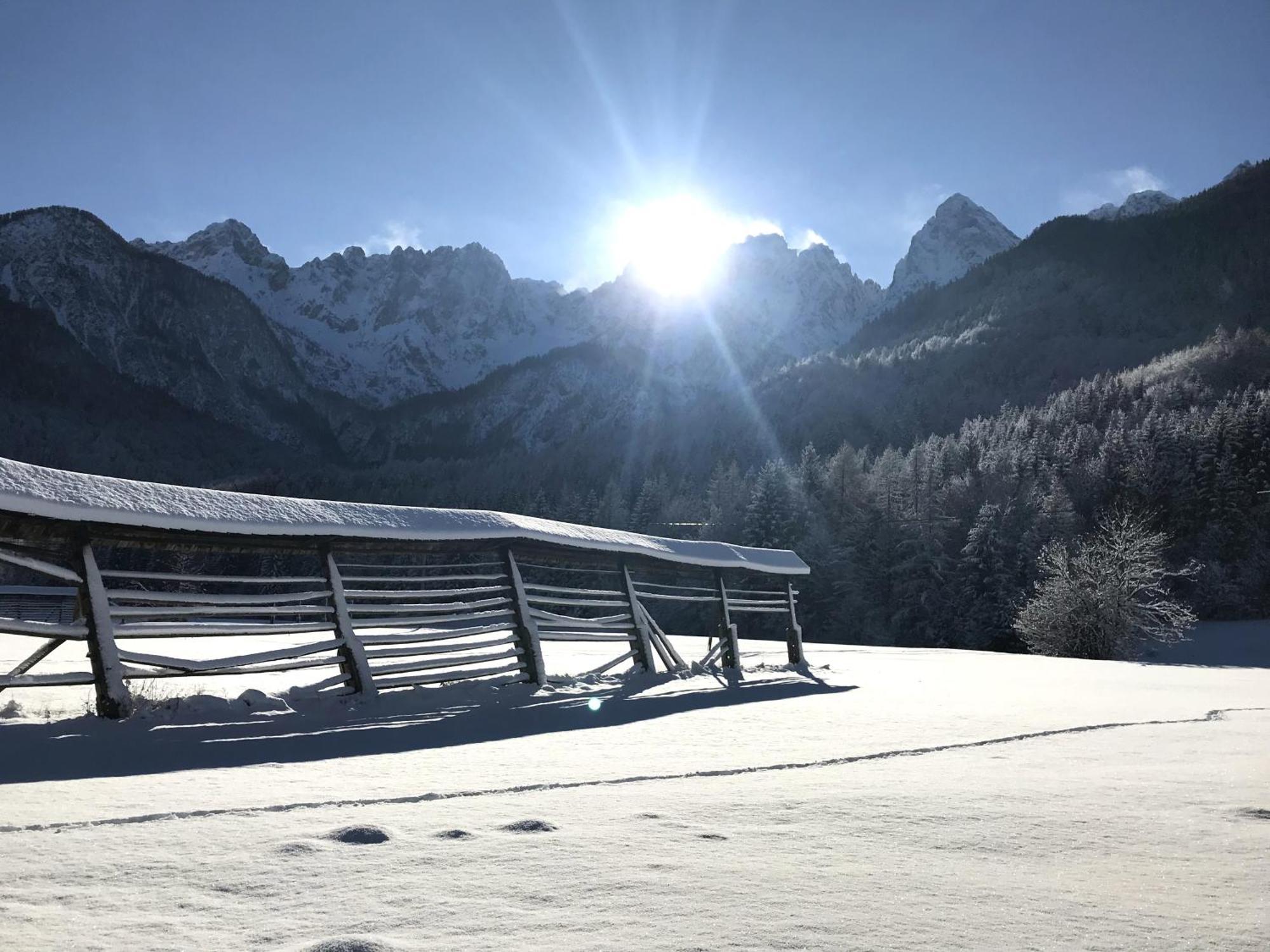 Apartment Loyd, Kranjska Gora - Studio Zewnętrze zdjęcie